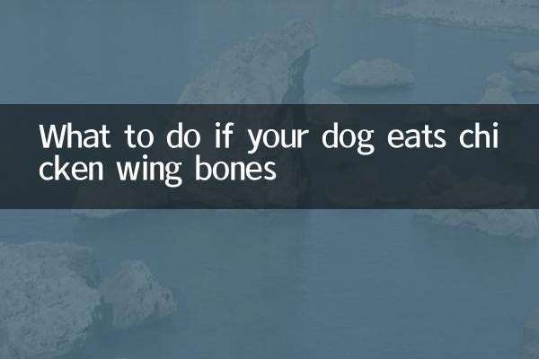 犬が手羽先の骨を食べたらどうするか