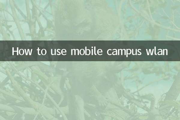 Come utilizzare la WLAN del campus mobile