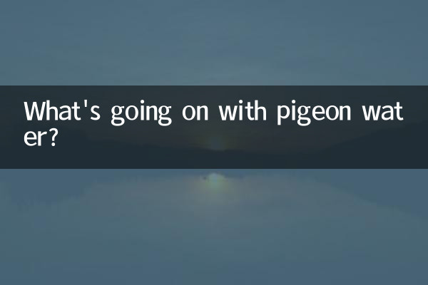 비둘기 물에 무슨 일이 일어나고 있나요?