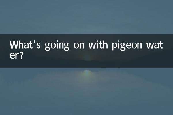 비둘기 물에 무슨 일이 일어나고 있나요?