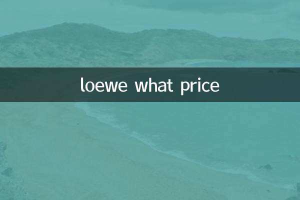 로에베 가격 얼마예요?