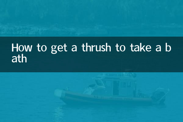 How to get a thrush to take a bath