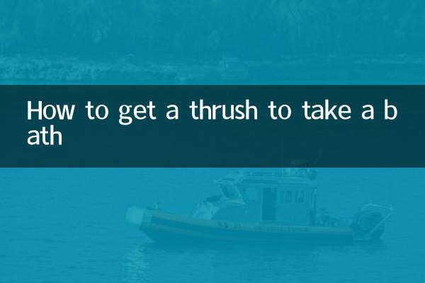 How to get a thrush to take a bath