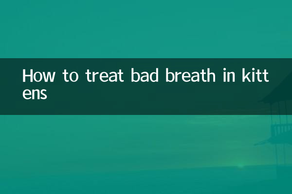 Como tratar o mau hálito em gatinhos