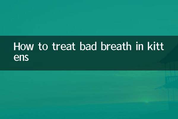 Como tratar o mau hálito em gatinhos