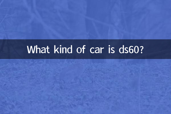 Quel genre de voiture est la DS60 ?