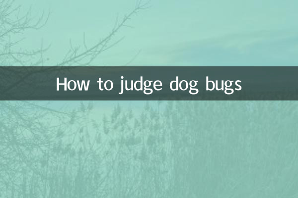 Comment juger les punaises des chiens