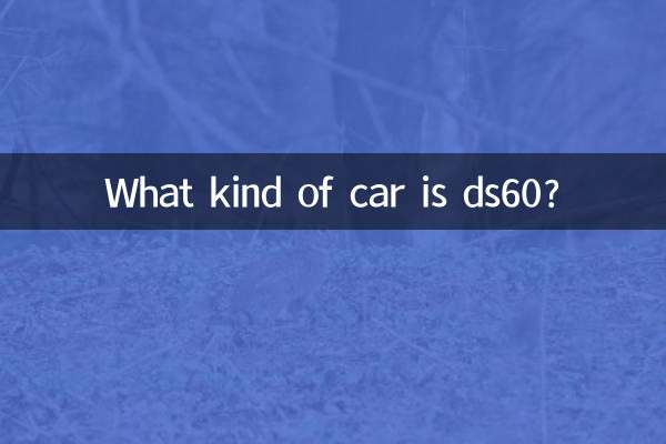 Que tipo de carro é ds60?