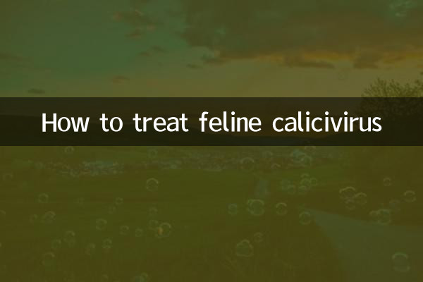 বিড়াল ক্যালিসিভাইরাস কীভাবে চিকিত্সা করবেন