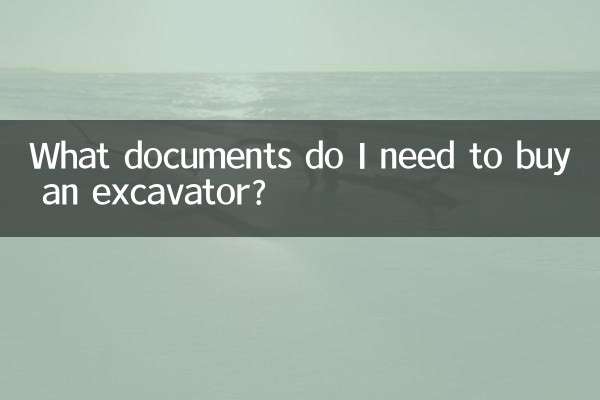 Welche Unterlagen benötige ich zum Kauf eines Baggers?