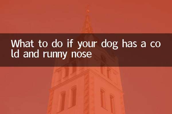 Que faire si votre chien a le nez froid et qui coule