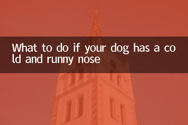 Was tun, wenn Ihr Hund eine Erkältung und eine laufende Nase hat?