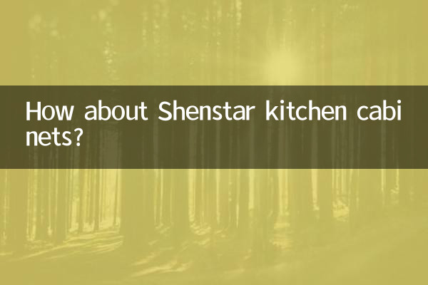 Shenstar 주방 캐비닛은 어떻습니까?