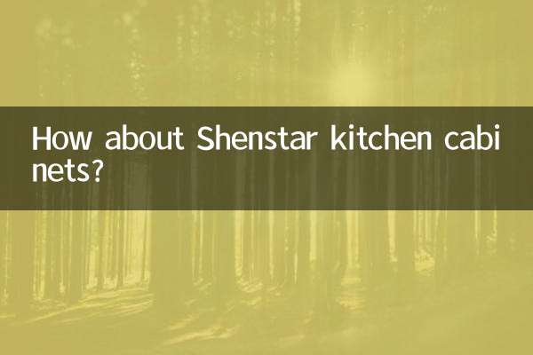 Shenstar 주방 캐비닛은 어떻습니까?