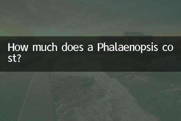 호접란의 가격은 얼마입니까?