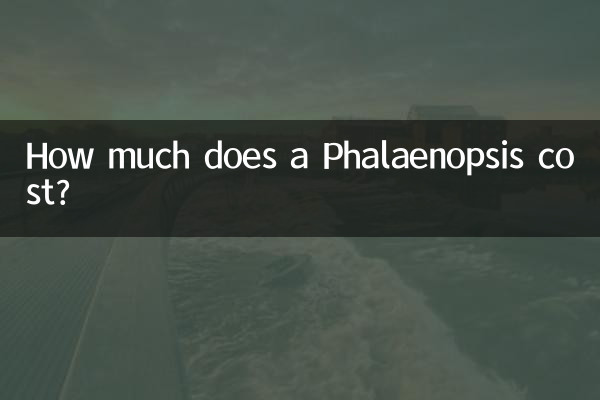 ¿Cuánto cuesta una Phalaenopsis?