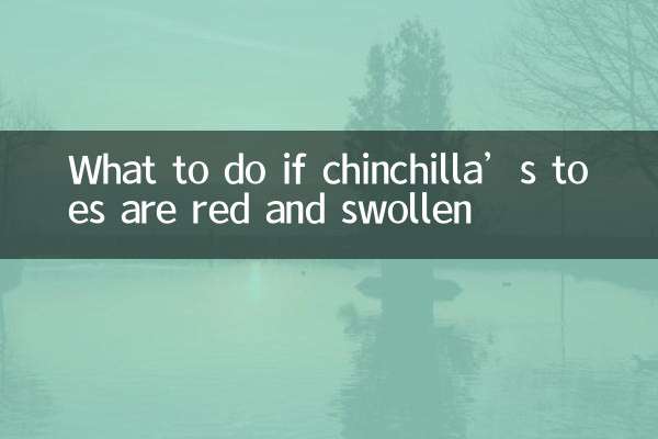 龙猫脚趾红肿怎么办