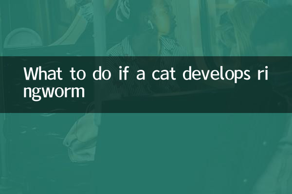 O que fazer se um gato desenvolver micose