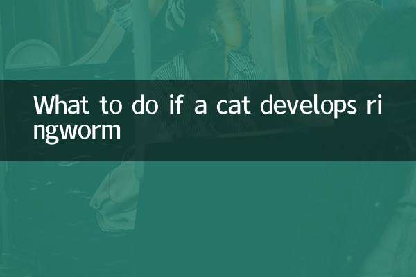 猫が白癬を発症した場合の対処法
