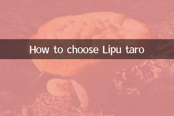 리푸타로를 선택하는 방법