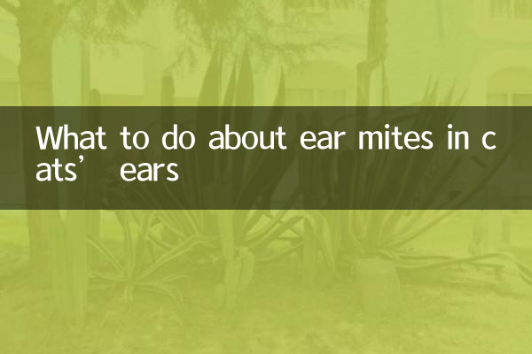 Qué hacer con los ácaros del oído en los gatos