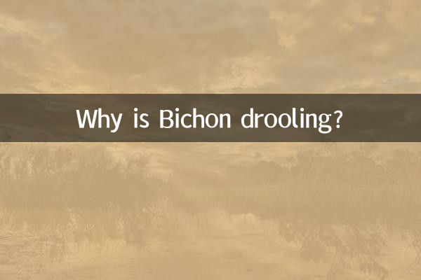 Почему у Бишона текут слюни?