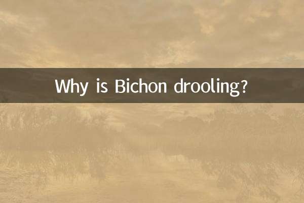 Почему у Бишона текут слюни?