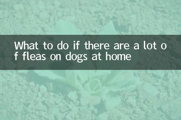 What to do if there are a lot of fleas on dogs at home