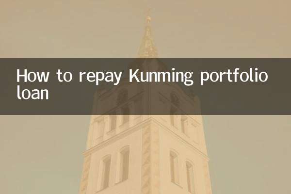 কীভাবে কুনমিং পোর্টফোলিও ঋণ পরিশোধ করবেন