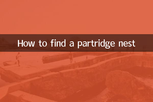Come trovare un nido di pernice