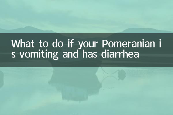 আপনার পোমেরিয়ান বমি হলে এবং ডায়রিয়া হলে কী করবেন