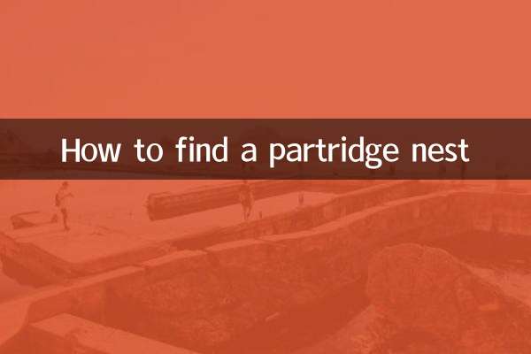How to find a partridge nest