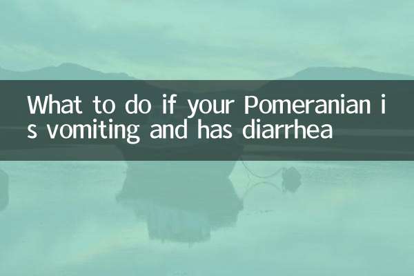 ポメラニアンが嘔吐や下痢をしている場合の対処法