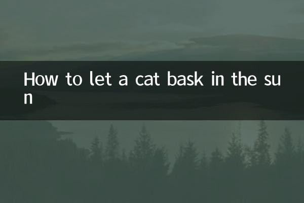 How to let a cat bask in the sun