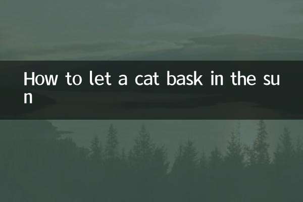 How to let a cat bask in the sun