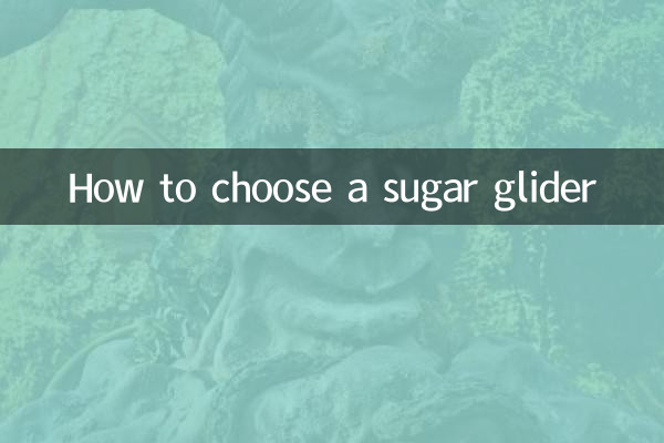 Come scegliere un petauro dello zucchero