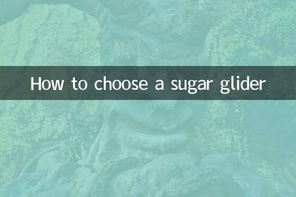 Come scegliere un petauro dello zucchero