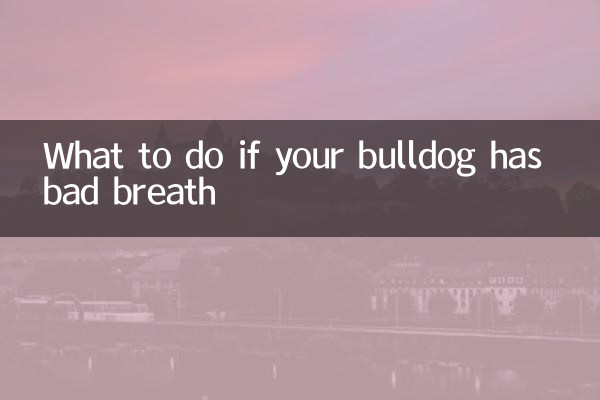 What to do if your bulldog has bad breath