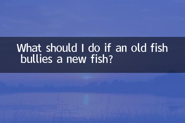 اگر یک ماهی پیر ماهی جدید را قلدری کند چه باید بکنم؟