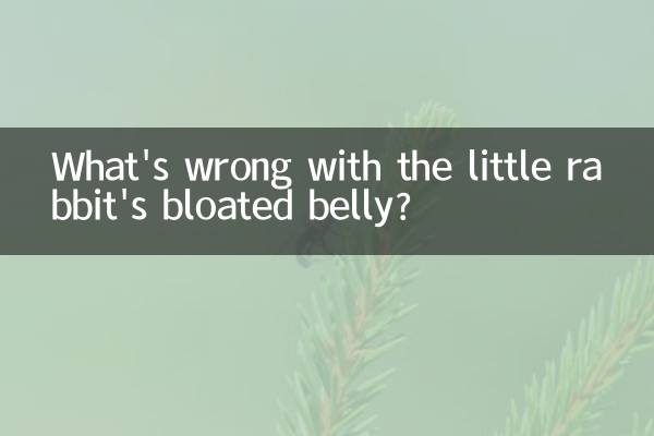 شکم پف کرده خرگوش کوچولو چه مشکلی دارد؟