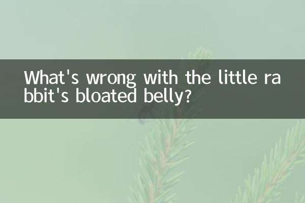 شکم پف کرده خرگوش کوچولو چه مشکلی دارد؟