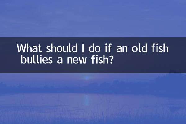 اگر کوئی بوڑھی مچھلی ایک نئی مچھلی کو دھکیلتی ہے تو مجھے کیا کرنا چاہئے؟