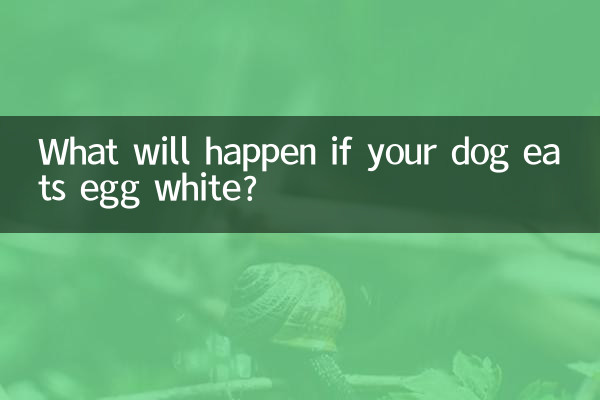 Que se passera-t-il si votre chien mange du blanc d'œuf ?
