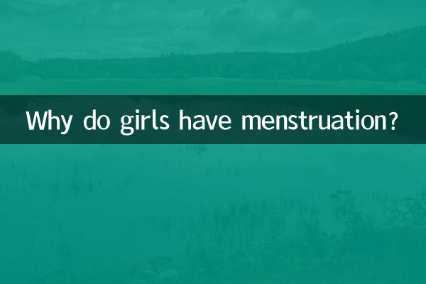 여자아이들은 왜 월경을 합니까?