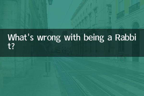 属兔跟什么不合