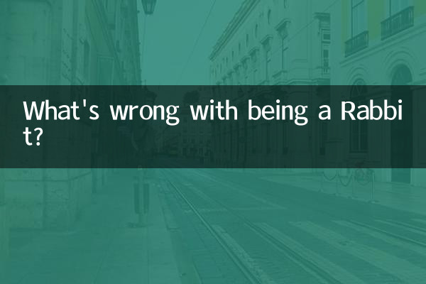 属兔跟什么不合