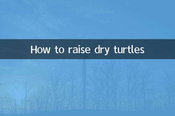 烏龜幹養怎麼養