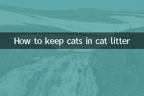 কিভাবে বিড়াল লিটারে বিড়াল রাখা যায়