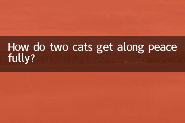 Comment deux chats peuvent-ils s'entendre paisiblement ?