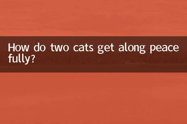 Come fanno due gatti ad andare d'accordo pacificamente?